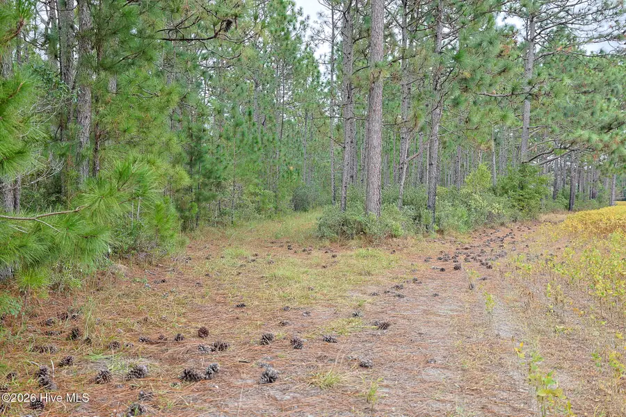 10.57 Ac Egypt Road Nw, Ash, NC 28420 - Image #2