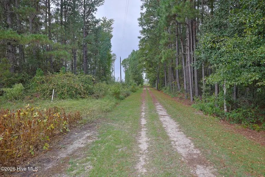 10.57 Ac Egypt Road Nw, Ash, NC 28420 - Image #3