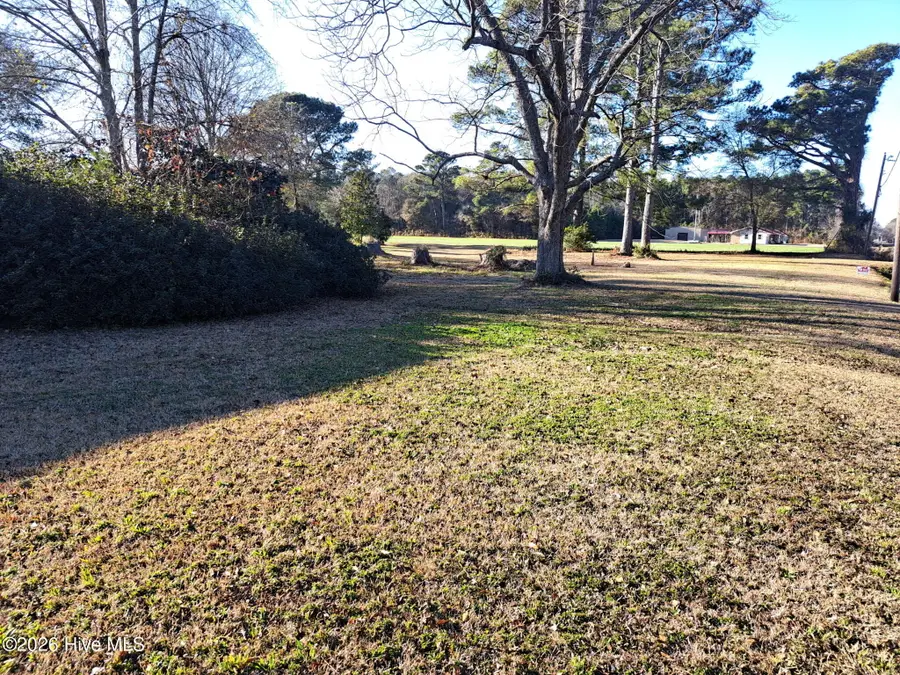 9701 Penderlea Highway, Willard, NC 28478 - Image #2