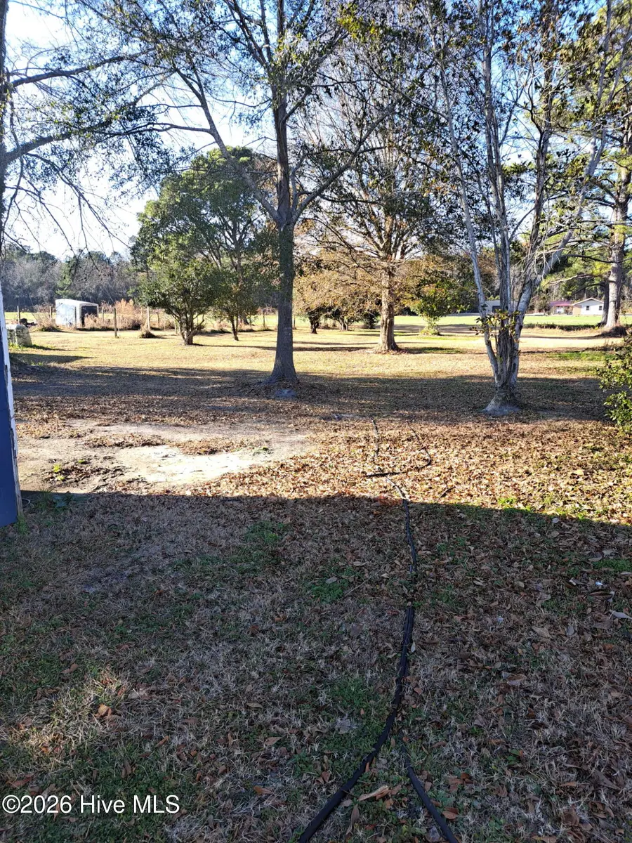 9701 Penderlea Highway, Willard, NC 28478 - Image #3