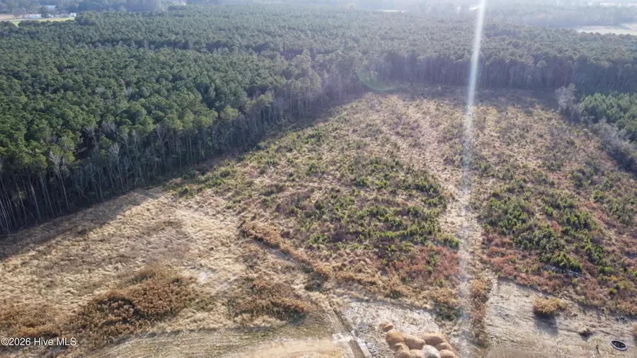 Lot 33 Talton Estates Drive, Pikeville, NC 27863 - Image #2