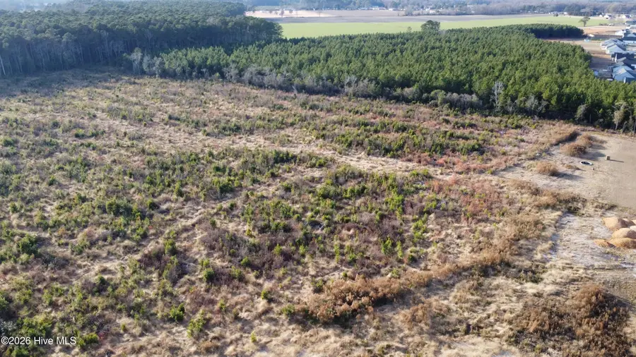 Lot 31 Talton Estates Drive, Pikeville, NC 27863 - Image #3