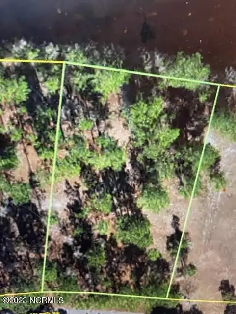 219 Oak Island Drive, Harrells, NC 28444