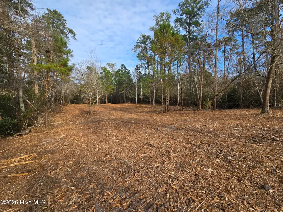 328 Ace Lane, Swansboro, NC 28584 - Image #3