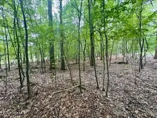 50 & 51 Chestnut Street, Hertford, NC 27944 - Image #3