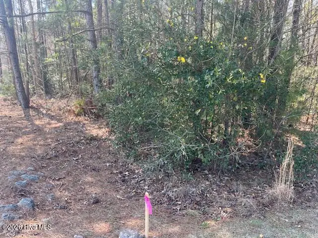 1894 Sunset Cove Drive Se, Bolivia, NC 28422 - Image #3