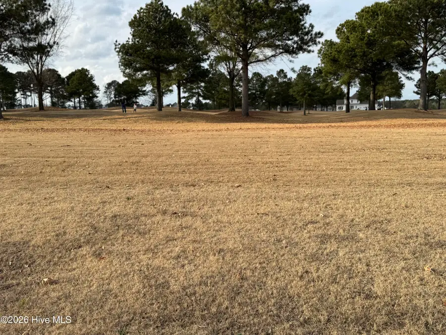 691 Crepe Myrtle Trail, Snow Hill, NC 28580 - Image #2