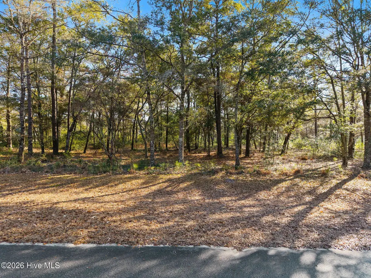 2061 Oyster Harbour Parkway Sw, Supply, NC 28462 - Image #1