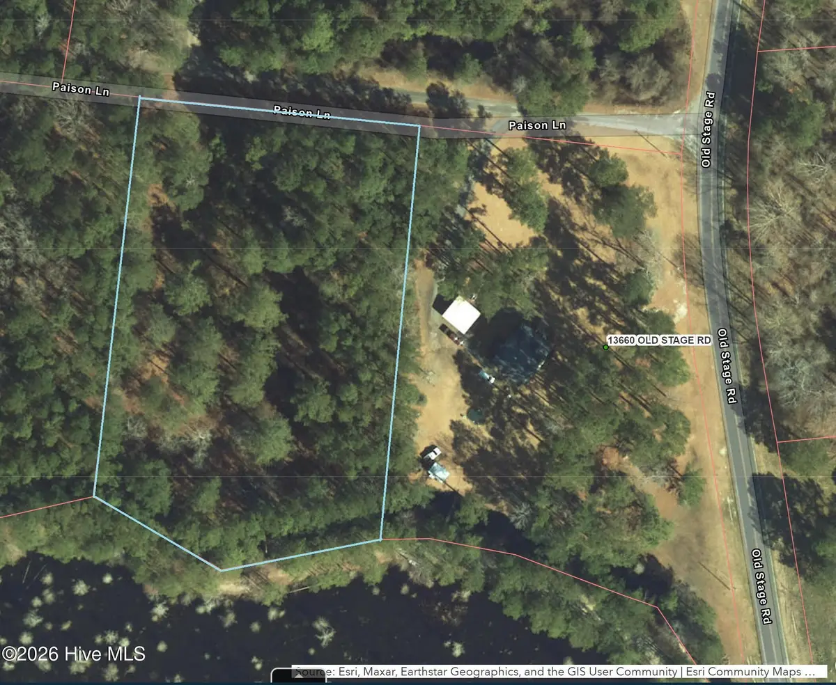 Tbd Paison Lane, Gibson, NC 28343 - Image #1
