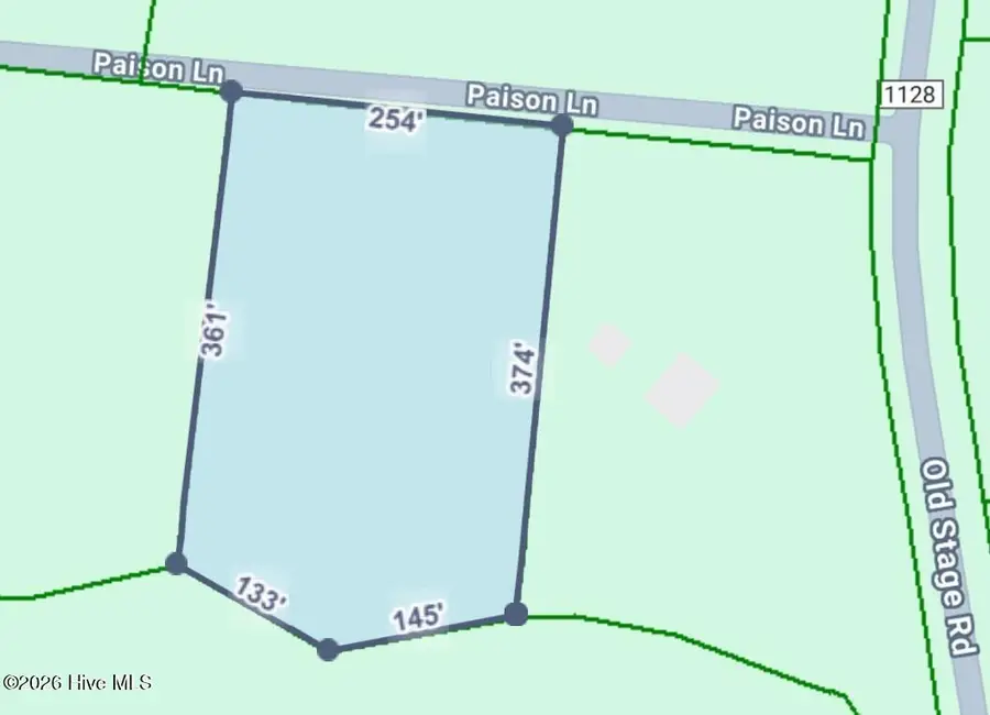 Tbd Paison Lane, Gibson, NC 28343 - Image #3