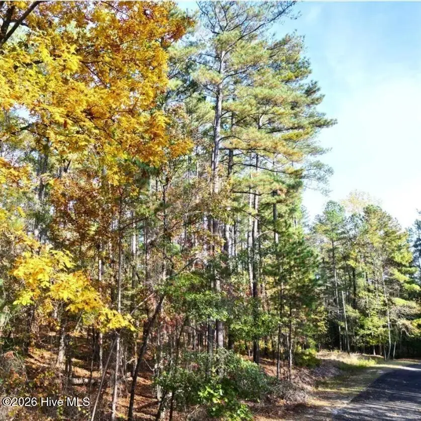 151 Cobblestone Place, West End, NC 27376 - #3