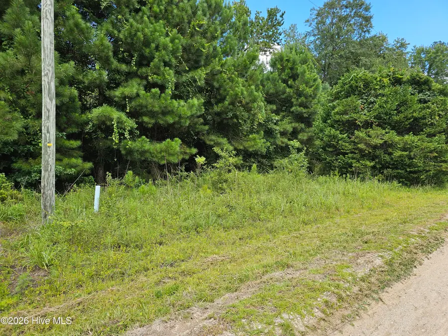 Tbd Lot 1 Auburn Drive, Loris, SC 29569 - Image #2