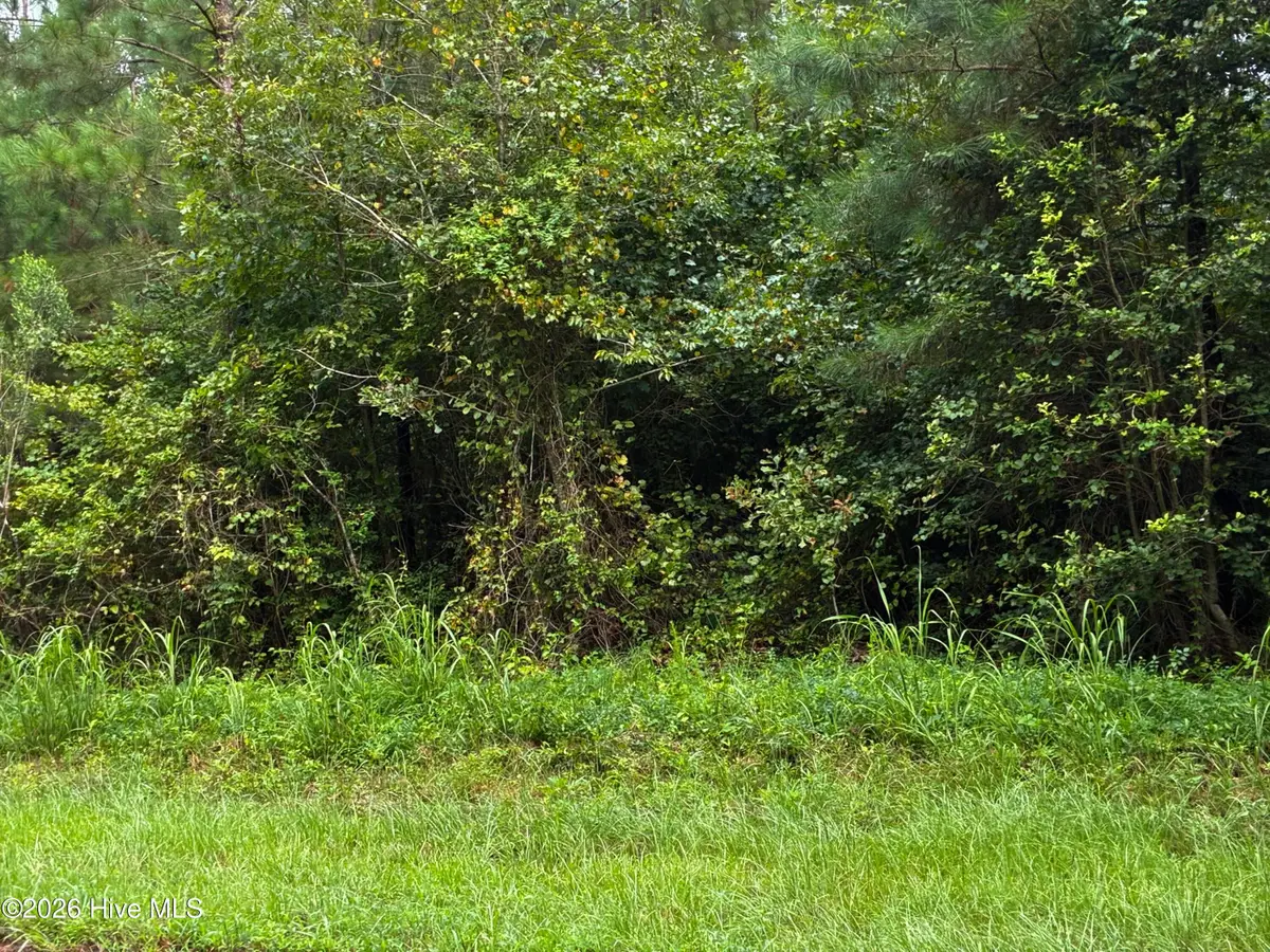 0 Briggs Road, Cameron, NC 28326 - Image #1