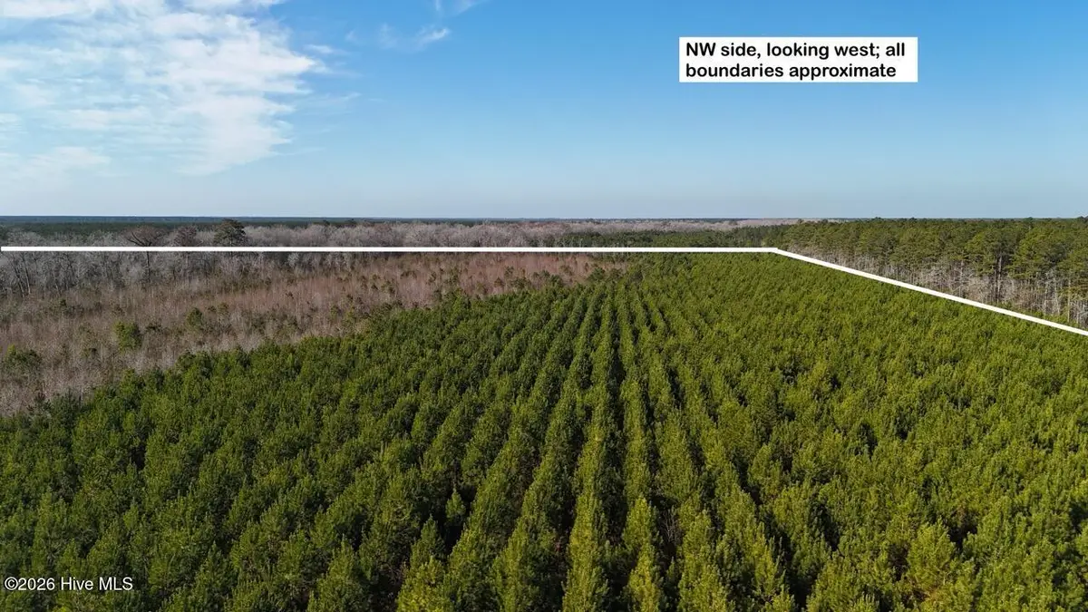 0 White Oak River Road, Maysville, NC 28555 - Image #1