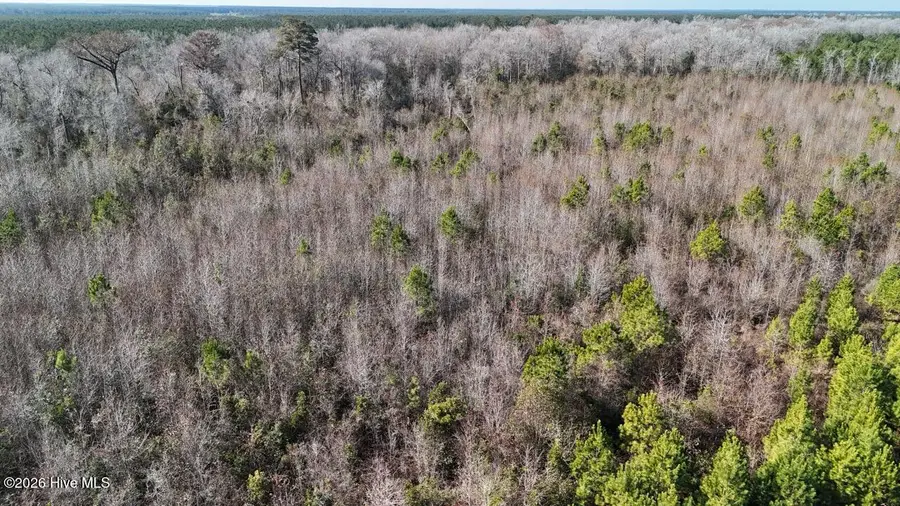 0 White Oak River Road, Maysville, NC 28555 - Image #3