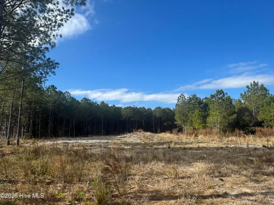 100 Cutter Bay South Street, Stonewall, NC 28583 - Image #3