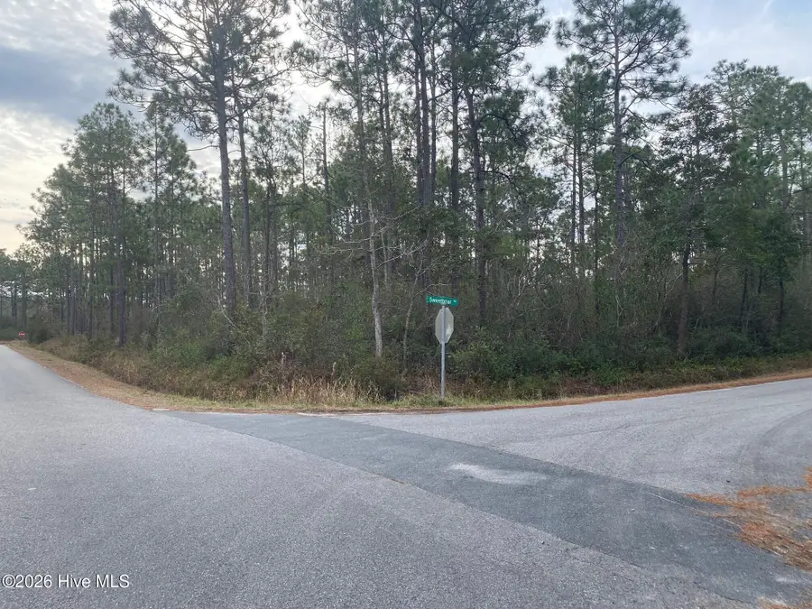 L-70&L-71 Sweetbrier Road, Boiling Spring Lakes, NC 28461 - Image #3