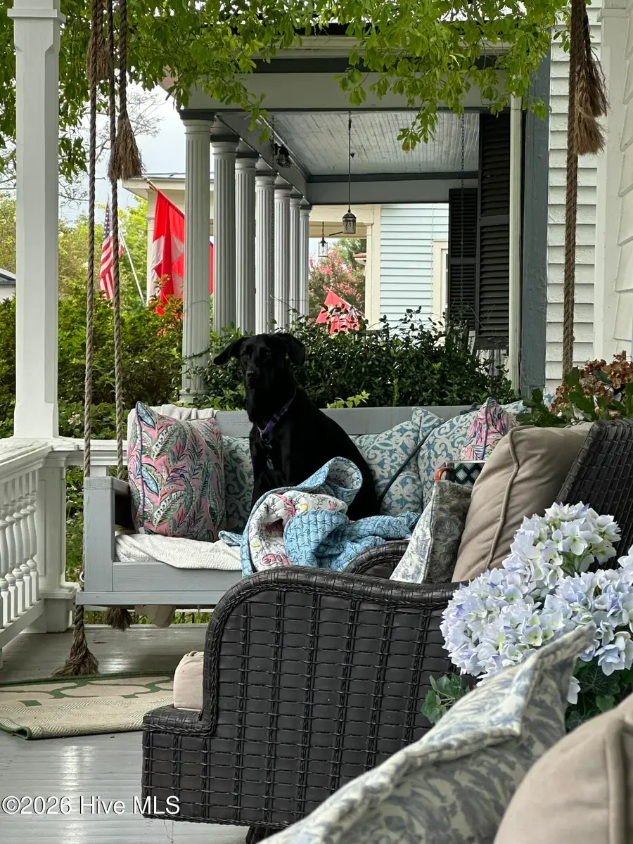 219 Pollock Street, New Bern, NC 28560 - Image #3