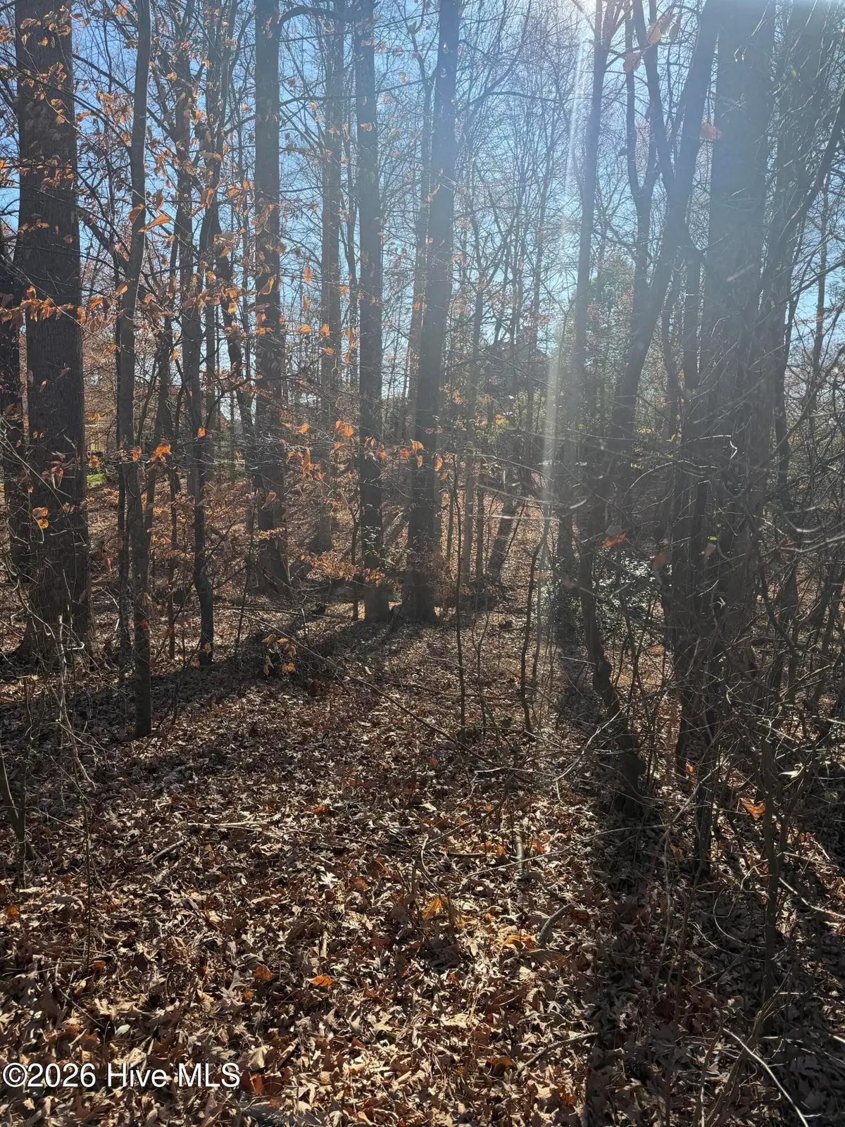 3189 Abbey Road, Rocky Mount, NC 27804 - Image #1