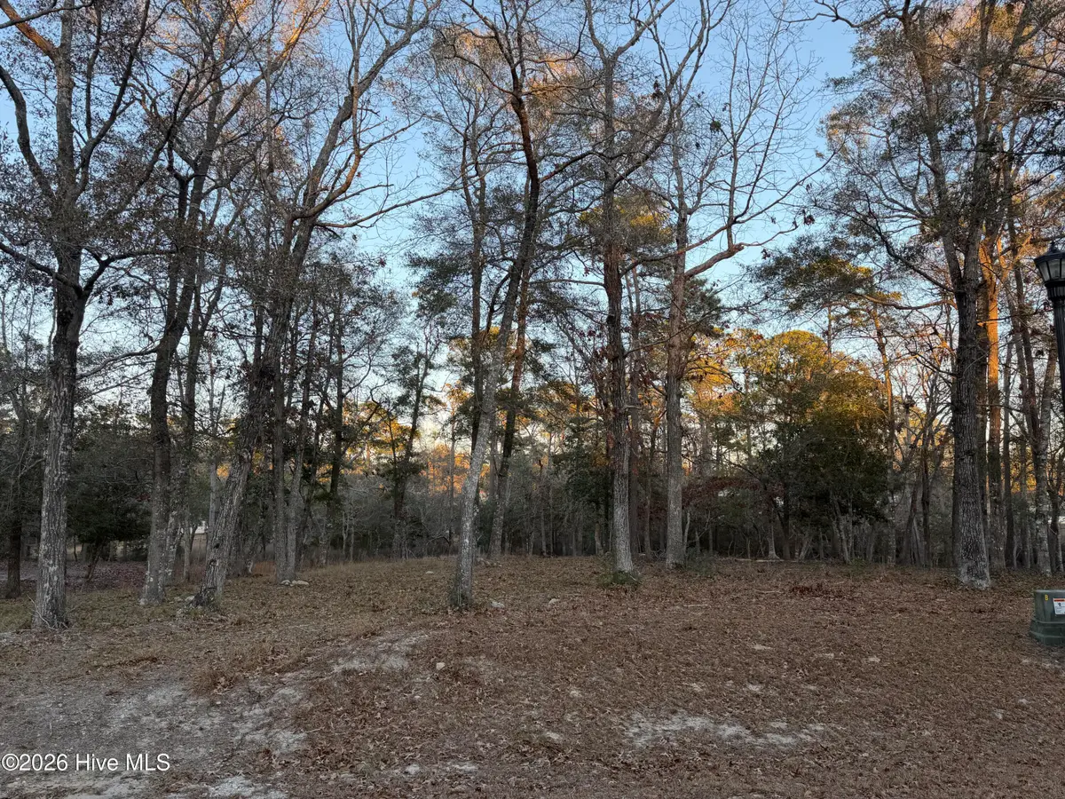 1762 Oyster Harbour Parkway Sw, Supply, NC 28462 - Image #1