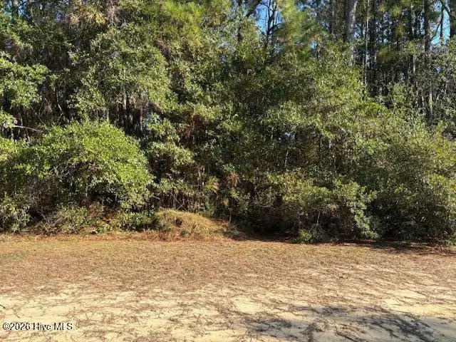 2280 Hoffman Road Sw, Supply, NC 28462 - Image #3