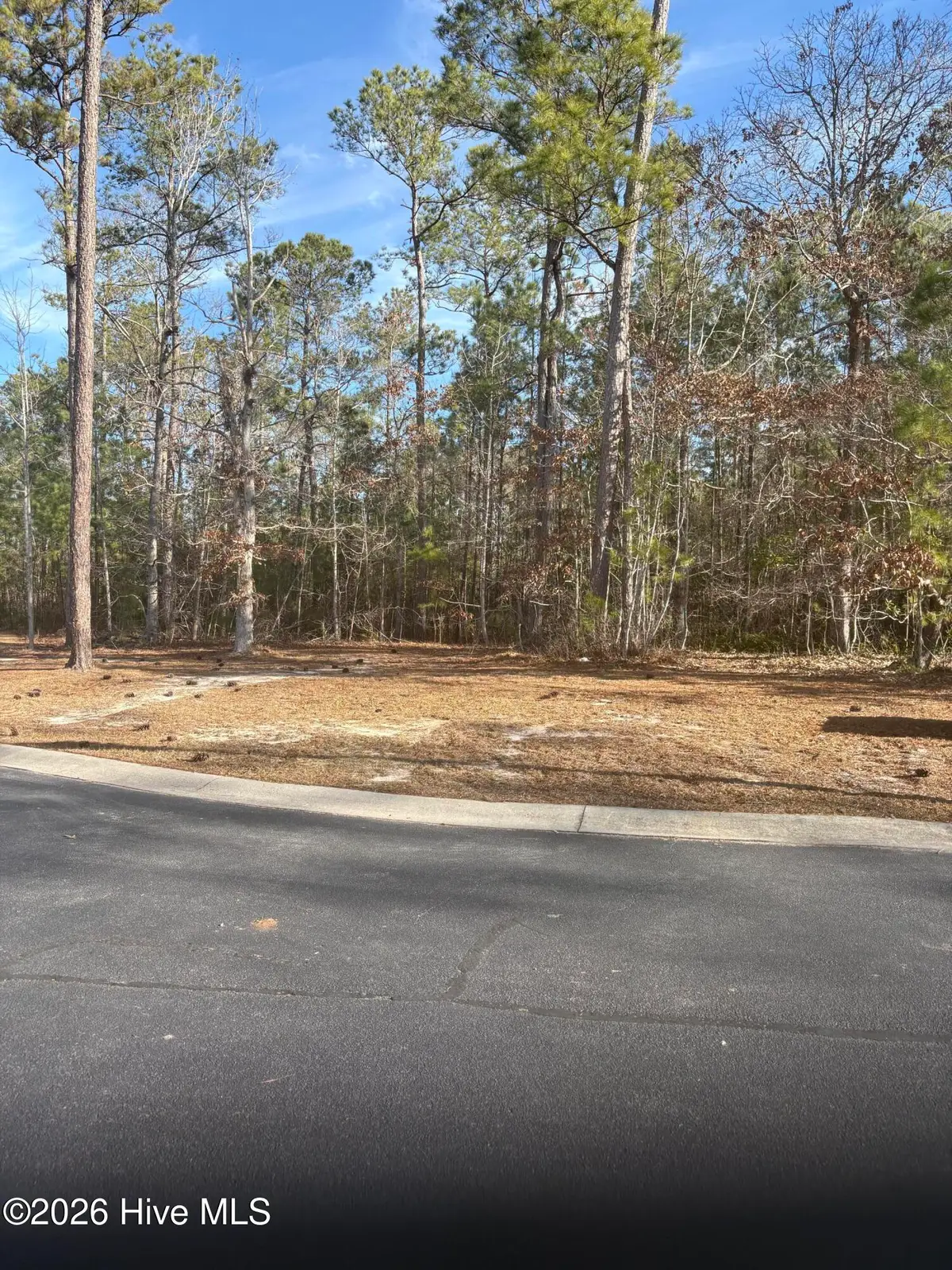 1206 Mandevilla Drive Se, Bolivia, NC 28422 - Image #1