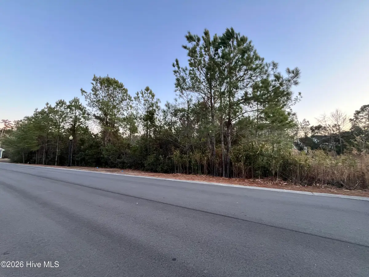 2957 Old Berwick Street Sw, Shallotte, NC 28470 - Image #1