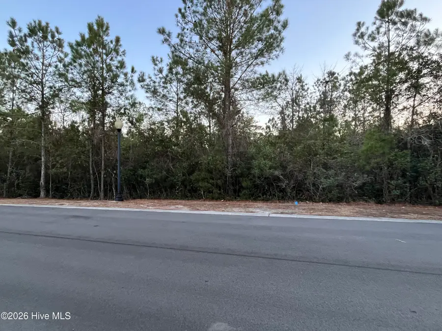 2957 Old Berwick Street Sw, Shallotte, NC 28470 - Image #3