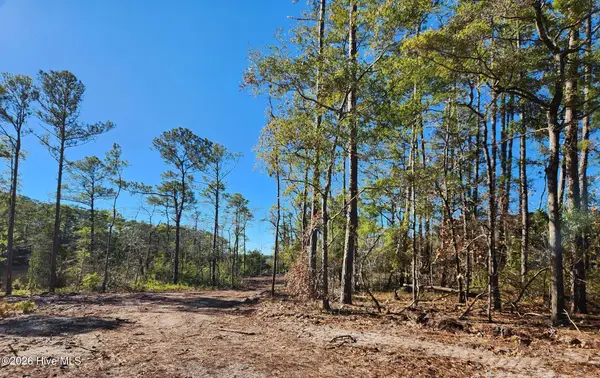 Lot 133 Coral Gull Street, Southport, NC 28461