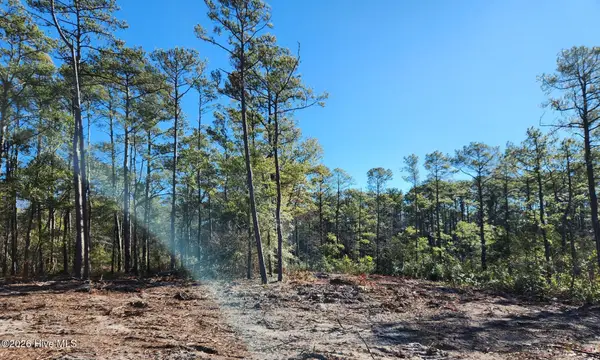 Lot 134 Coral Gull Street, Southport, NC 28461