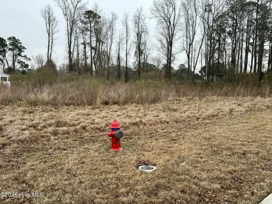 309 Preservation Point Avenue, Wilmington, NC 28401 - Image #3