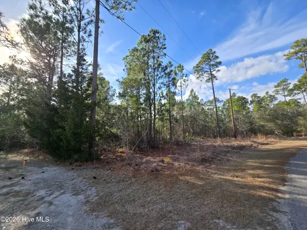 Lot C Harper Lake Dr Drive, Southport, NC 28461