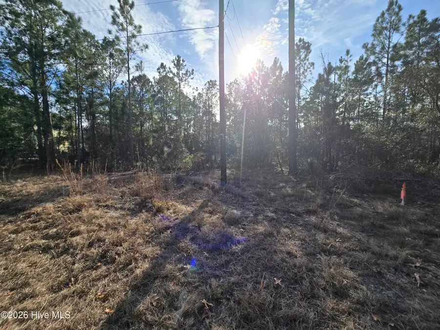 Lot C Harper Lake Dr Drive, Southport, NC 28461 - Image #2