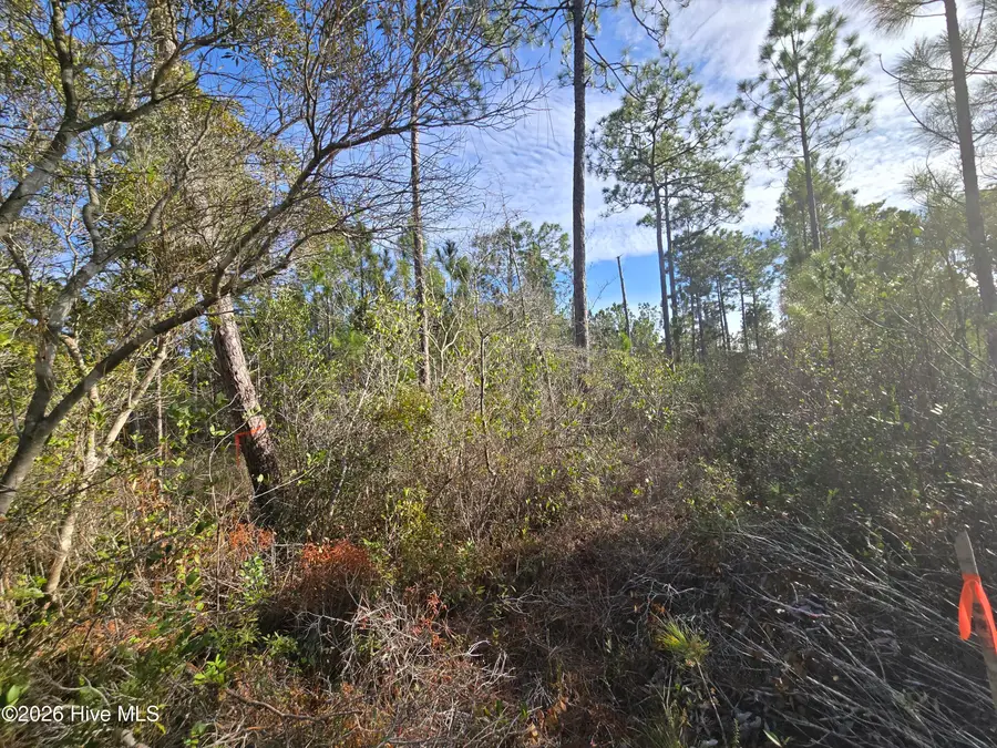 Lot C Harper Lake Dr Drive, Southport, NC 28461 - Image #3