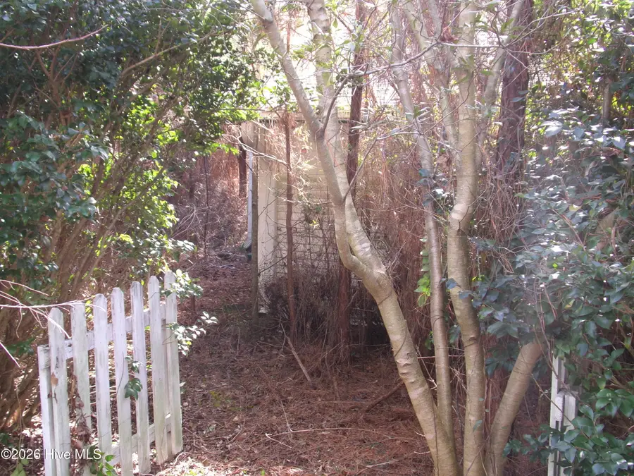 6194 Joe Brown Highway S, Chadbourn, NC 28431 - Image #3