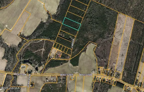 Lot 5 Off Sr 1002, Trenton, NC 28585
