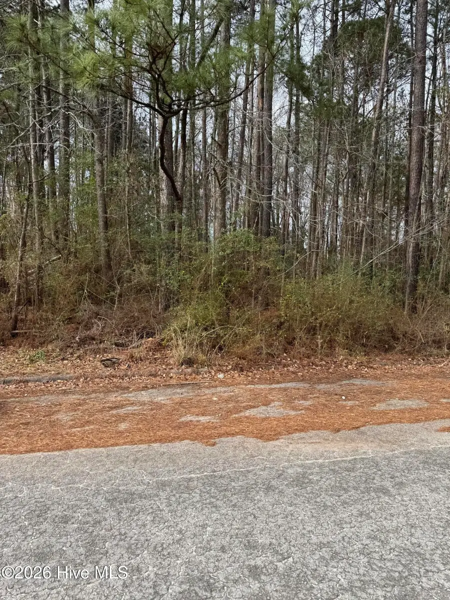 643 Walnut Drive, Jacksonville, NC 28540 - Image #2