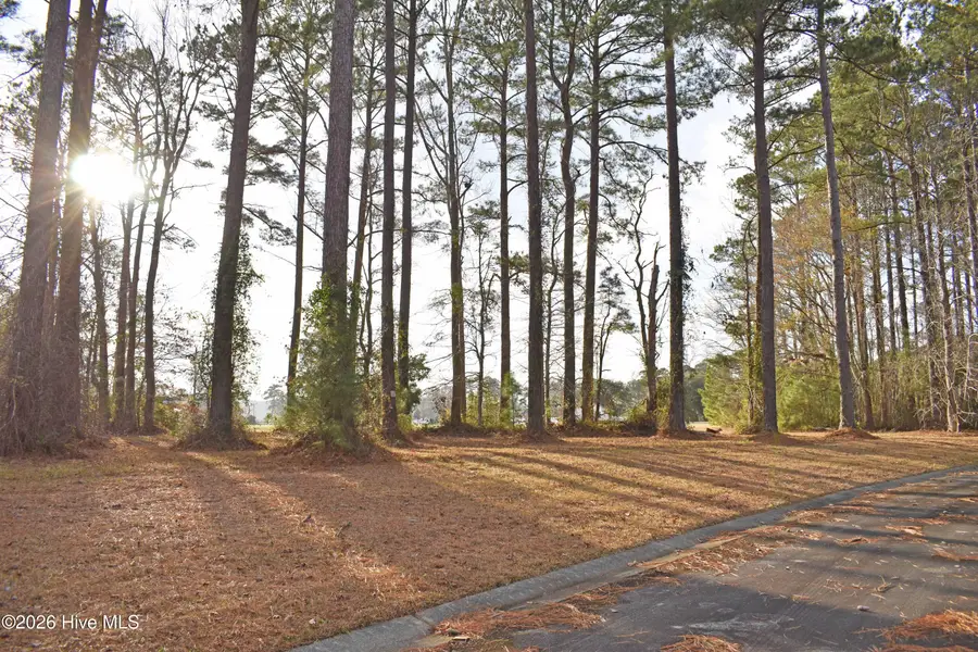 179 Corrolla Loop Road, Oriental, NC 28571 - Image #3