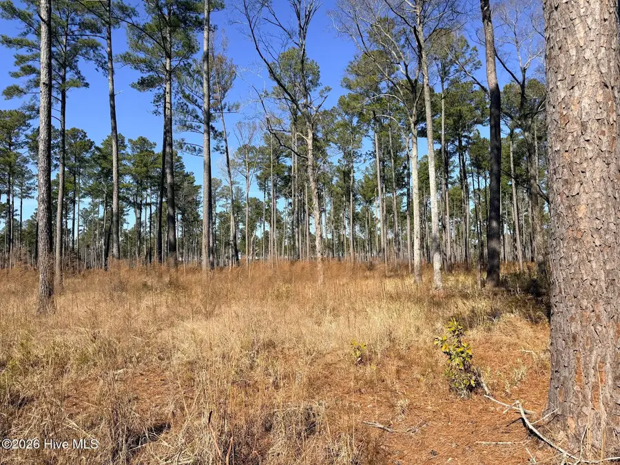 0 Sr 1119 Off, Chocowinity, NC 27817 - #2