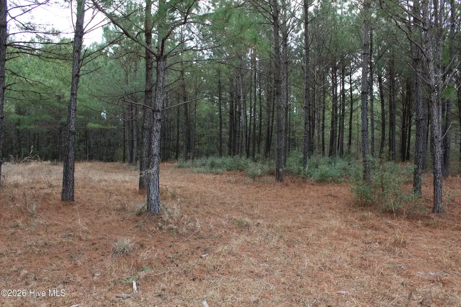 Lot 1 Callaway Court, Hampstead, NC 28443 - Image #2