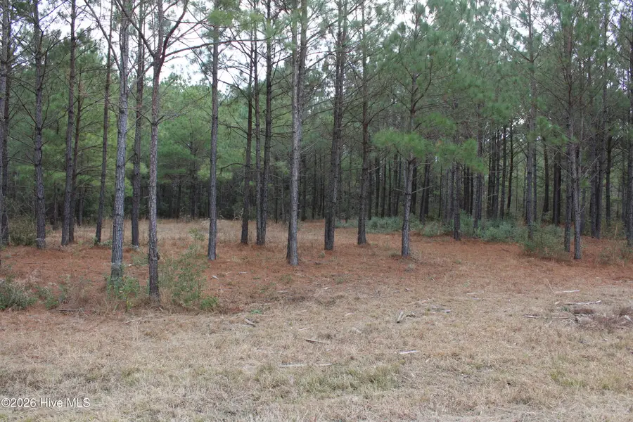 Lot 1 Callaway Court, Hampstead, NC 28443 - Image #3