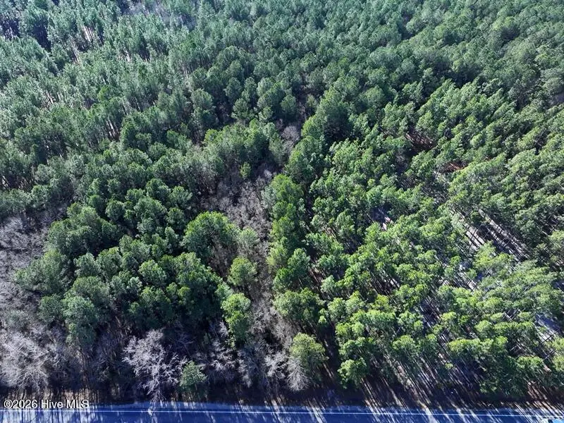 Tbd Stuarts Mill Road, Fairmont, NC 28340 - Image #1