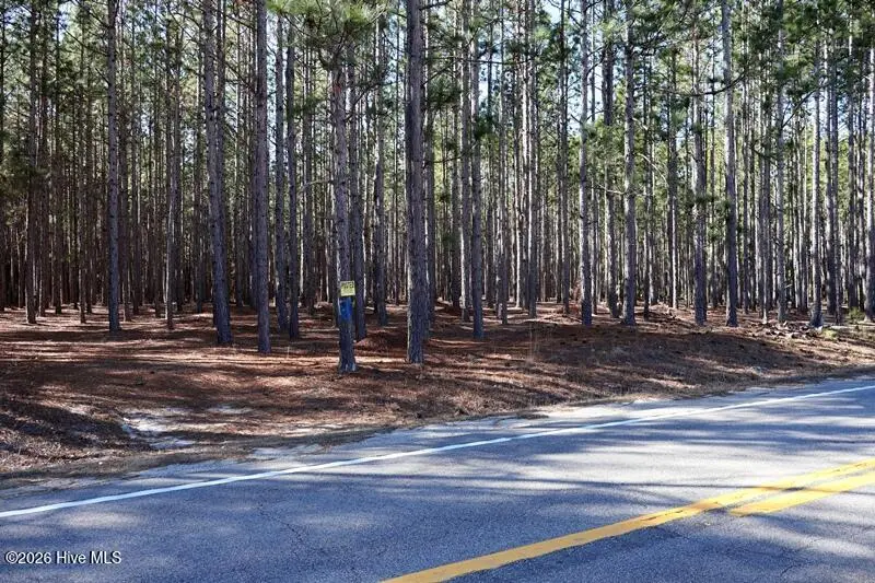 Tbd Stuarts Mill Road, Fairmont, NC 28340 - Image #3