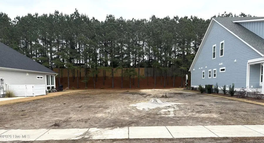 2197 Palm Pointe Pointe Ne, Leland, NC 28451 - Image #2