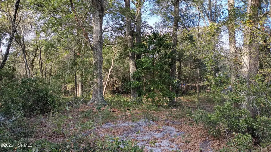 223 Clinton Street, Wilmington, NC 28401 - Image #2