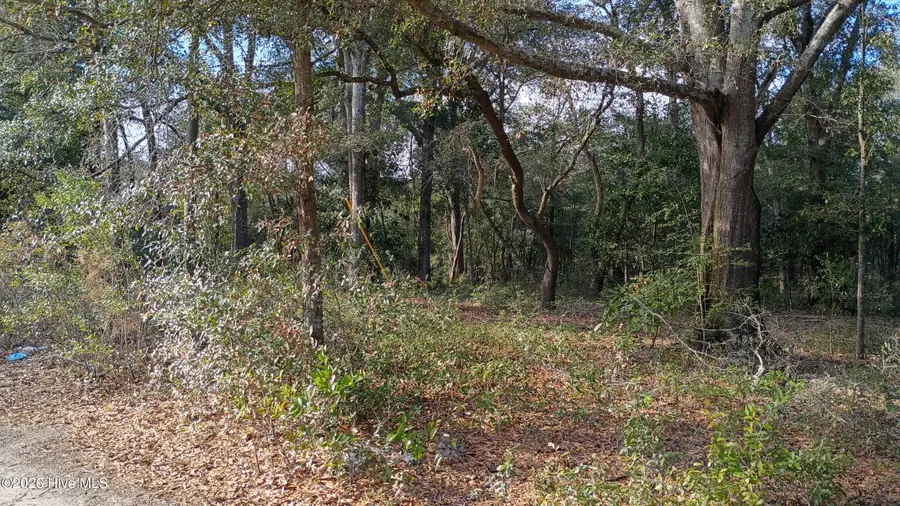 223 Clinton Street, Wilmington, NC 28401 - Image #3