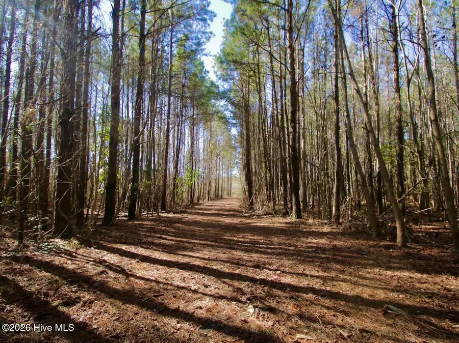 0 Knobbs Creek Drive, Elizabeth City, NC 27909 - Image #2