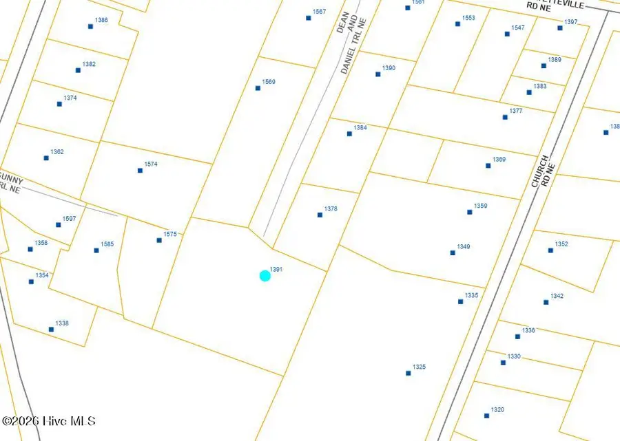 1391 Dean And Daniel Trail Ne, Leland, NC 28451 - Image #3