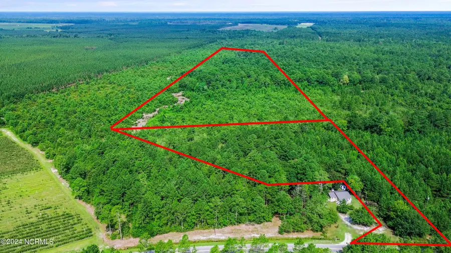 1 Lizzie Henry Road, Ivanhoe, NC 28447 - Image #2