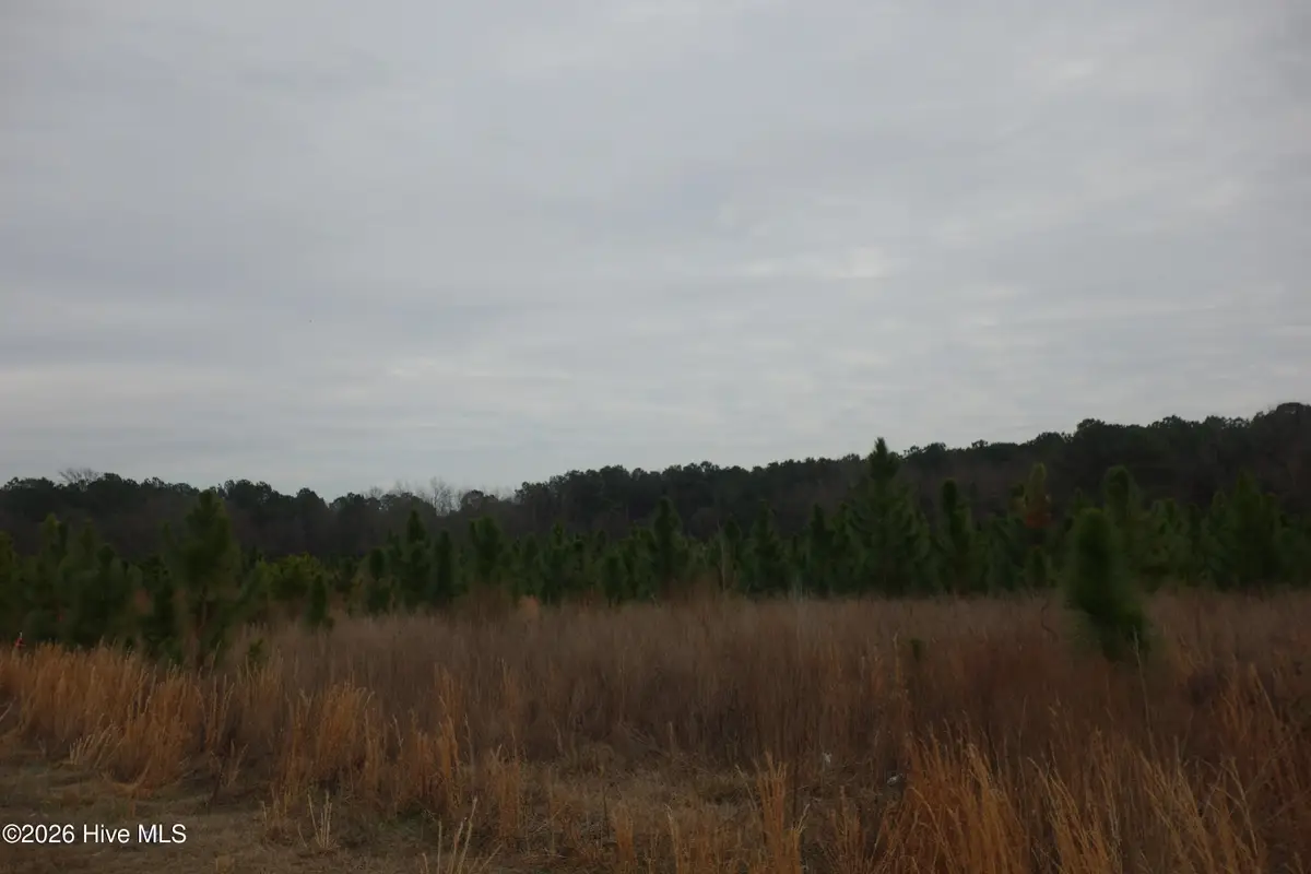 Lot 40 Stuarts Mill Road, Fairmont, NC 28340 - Image #1